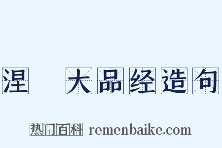 涅槃大品经造句是什么意思的图片